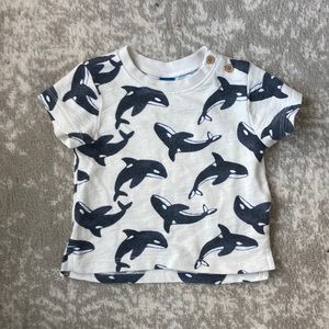 Baby Orca Tee !!